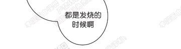 赤色领域[耽美]韩漫全集-第49话无删减无遮挡章节图片 