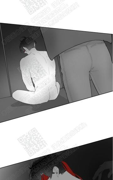 赤色领域[耽美]韩漫全集-第54话无删减无遮挡章节图片 