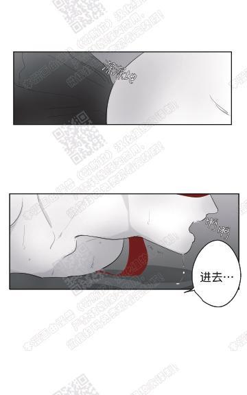 赤色领域[耽美]韩漫全集-第55话无删减无遮挡章节图片 