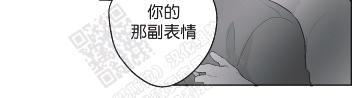 赤色领域[耽美]韩漫全集-第57话无删减无遮挡章节图片 