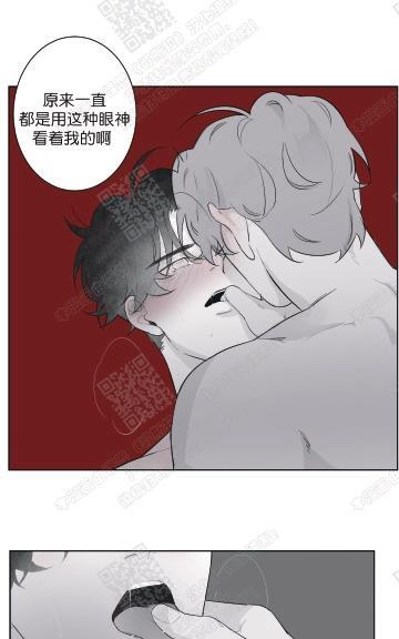赤色领域[耽美]韩漫全集-第58话无删减无遮挡章节图片 