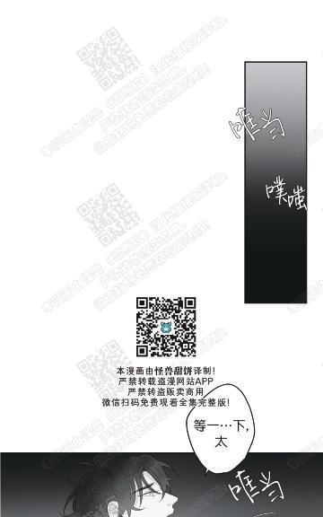 赤色领域[耽美]韩漫全集-第58话无删减无遮挡章节图片 