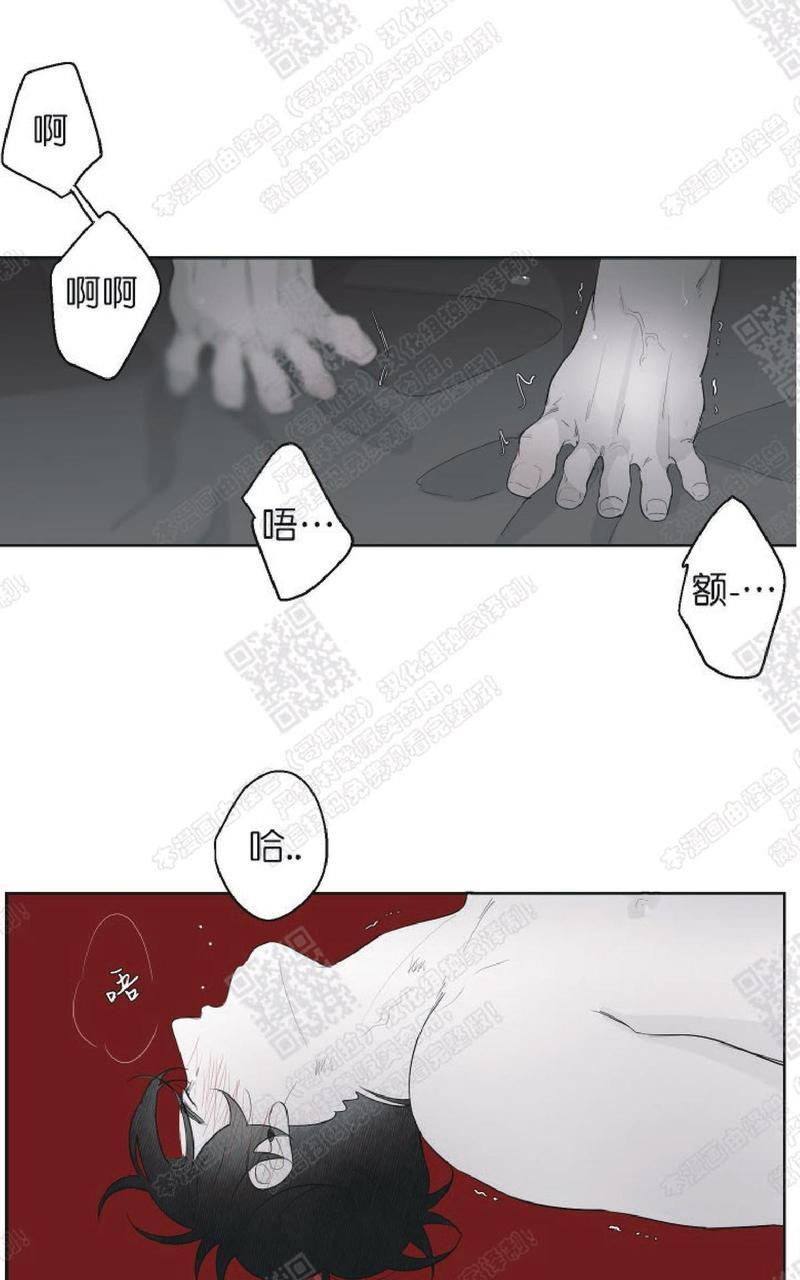 赤色领域[耽美]韩漫全集-第59话无删减无遮挡章节图片 