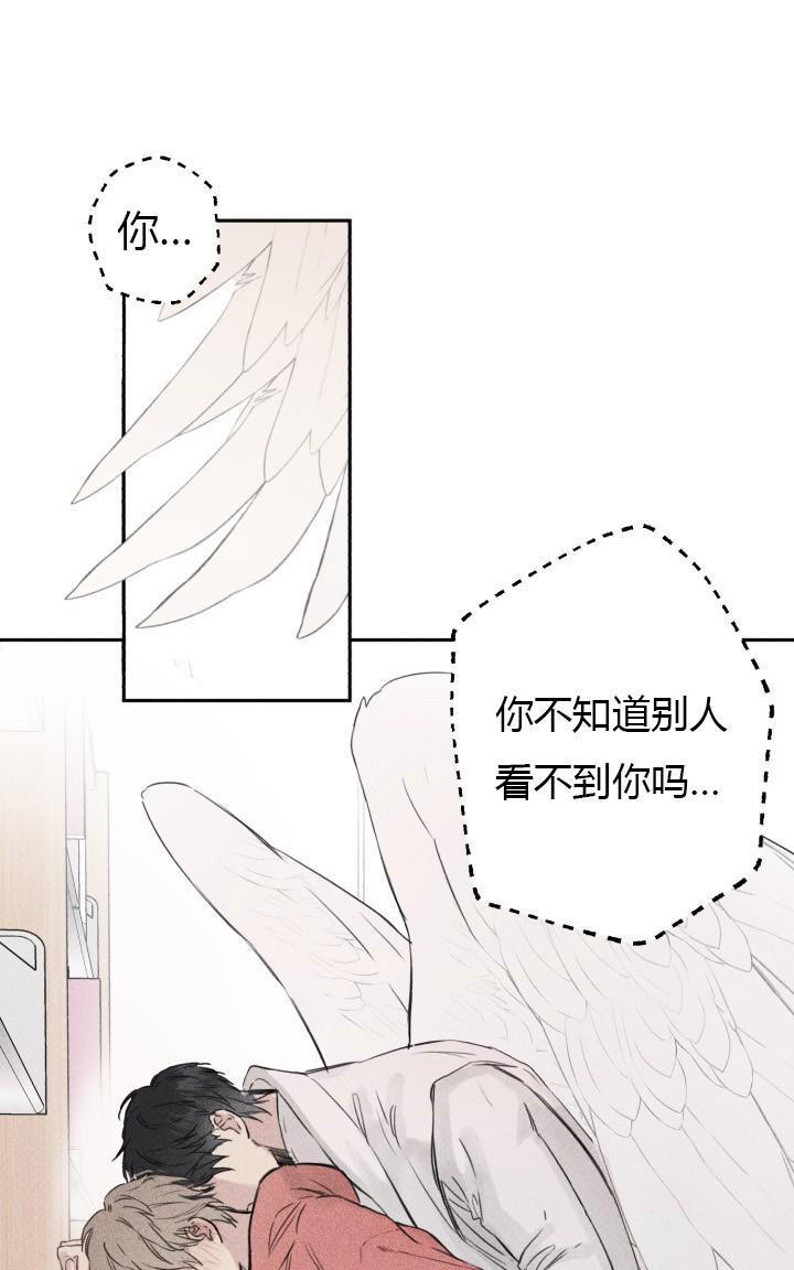 天使密友/天使拍档[耽美]韩漫全集-第1话无删减无遮挡章节图片 