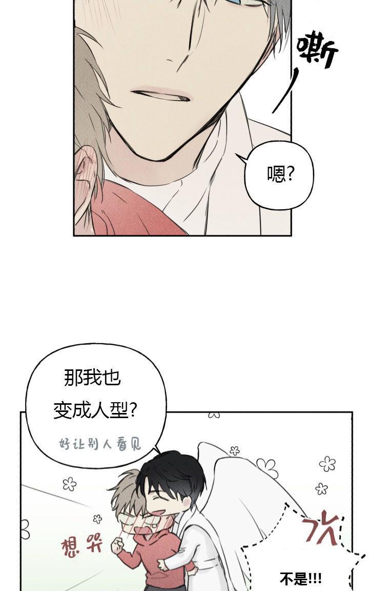天使密友/天使拍档[耽美]韩漫全集-第1话无删减无遮挡章节图片 