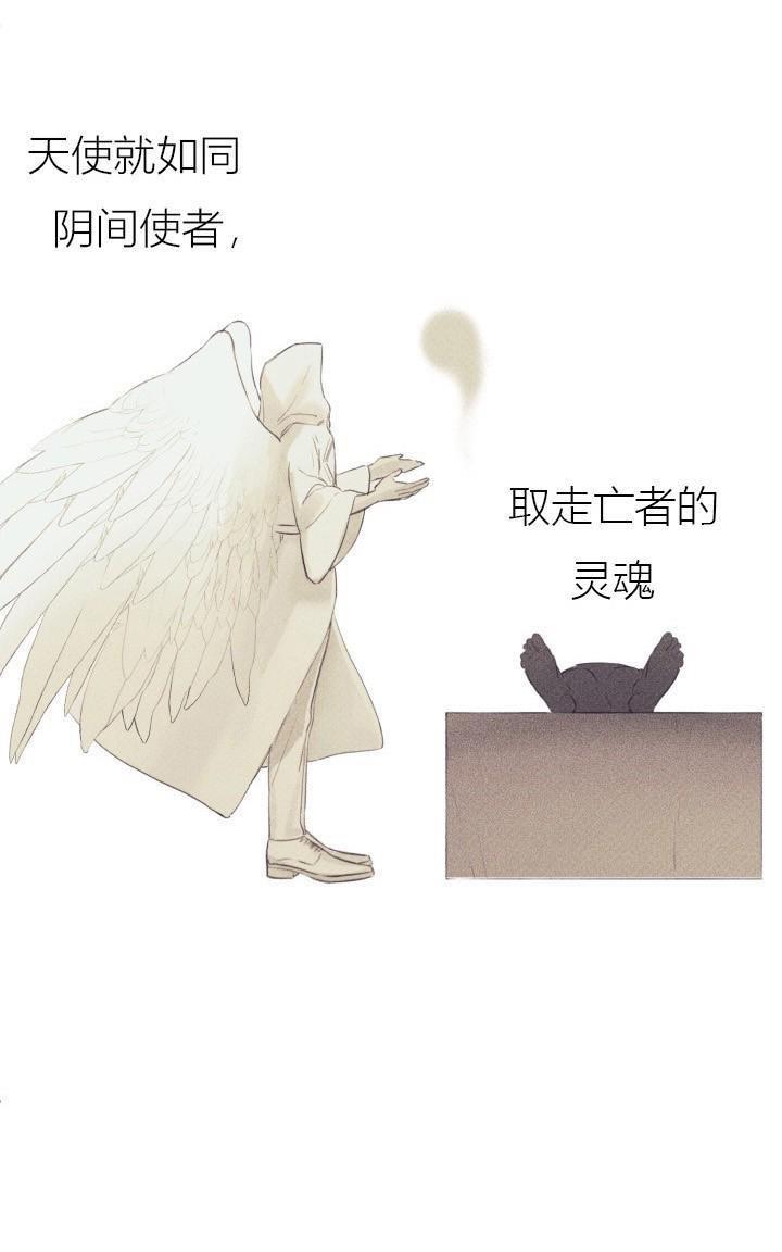 天使密友/天使拍档[耽美]韩漫全集-第2话无删减无遮挡章节图片 
