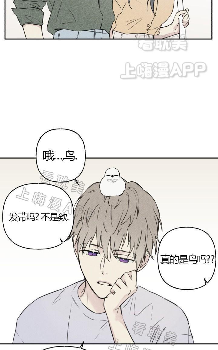 天使密友/天使拍档[耽美]韩漫全集-第3话无删减无遮挡章节图片 
