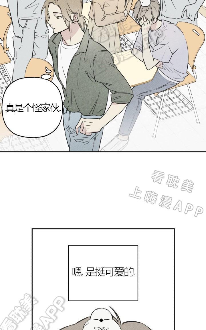 天使密友/天使拍档[耽美]韩漫全集-第3话无删减无遮挡章节图片 