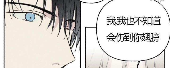 天使密友/天使拍档[耽美]韩漫全集-第3话无删减无遮挡章节图片 