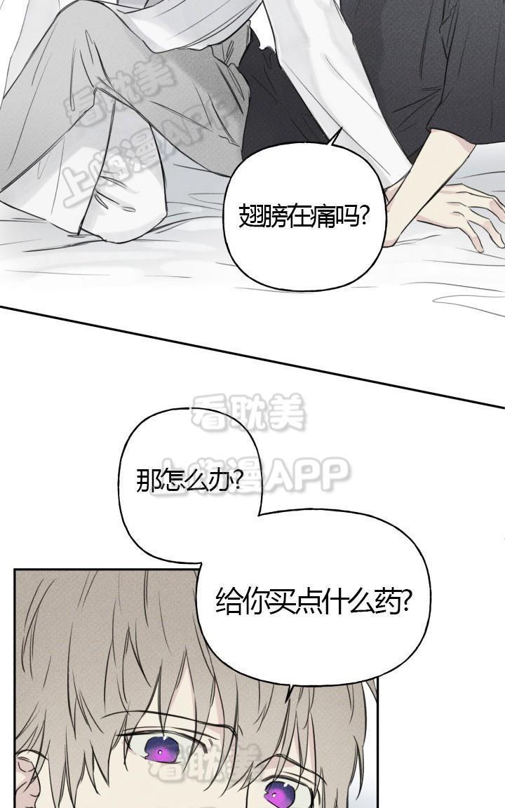 天使密友/天使拍档[耽美]韩漫全集-第3话无删减无遮挡章节图片 