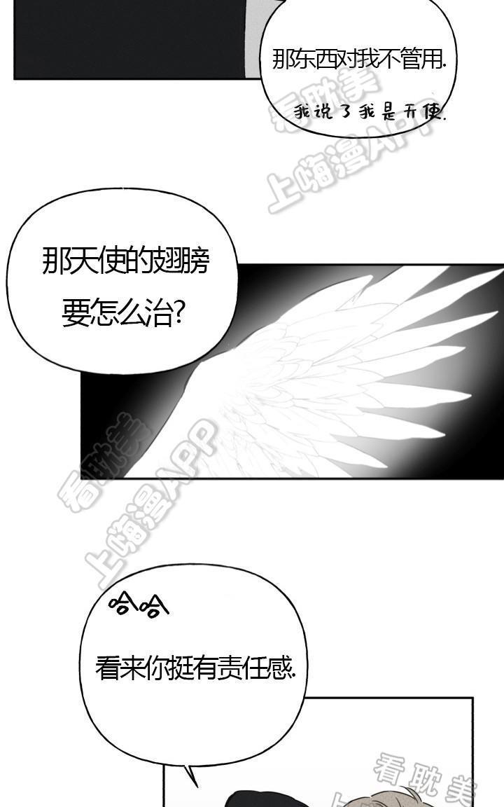 天使密友/天使拍档[耽美]韩漫全集-第3话无删减无遮挡章节图片 