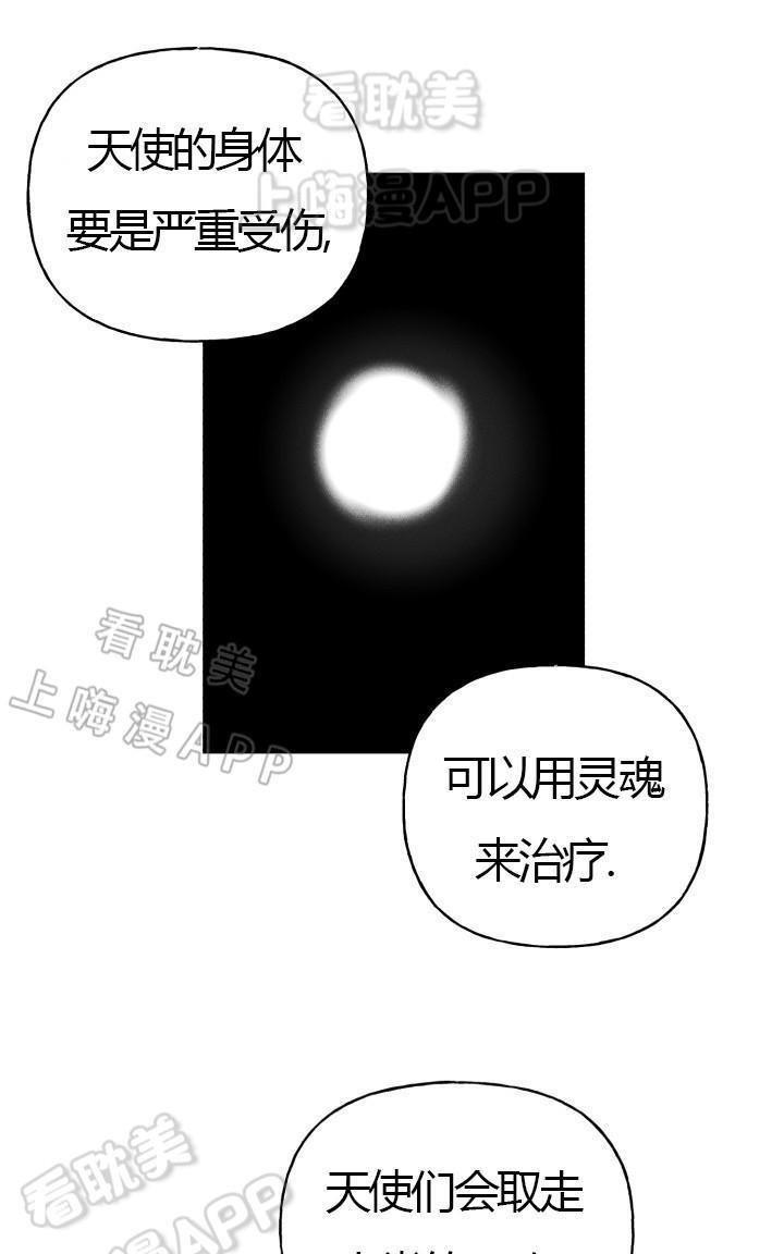 天使密友/天使拍档[耽美]韩漫全集-第3话无删减无遮挡章节图片 