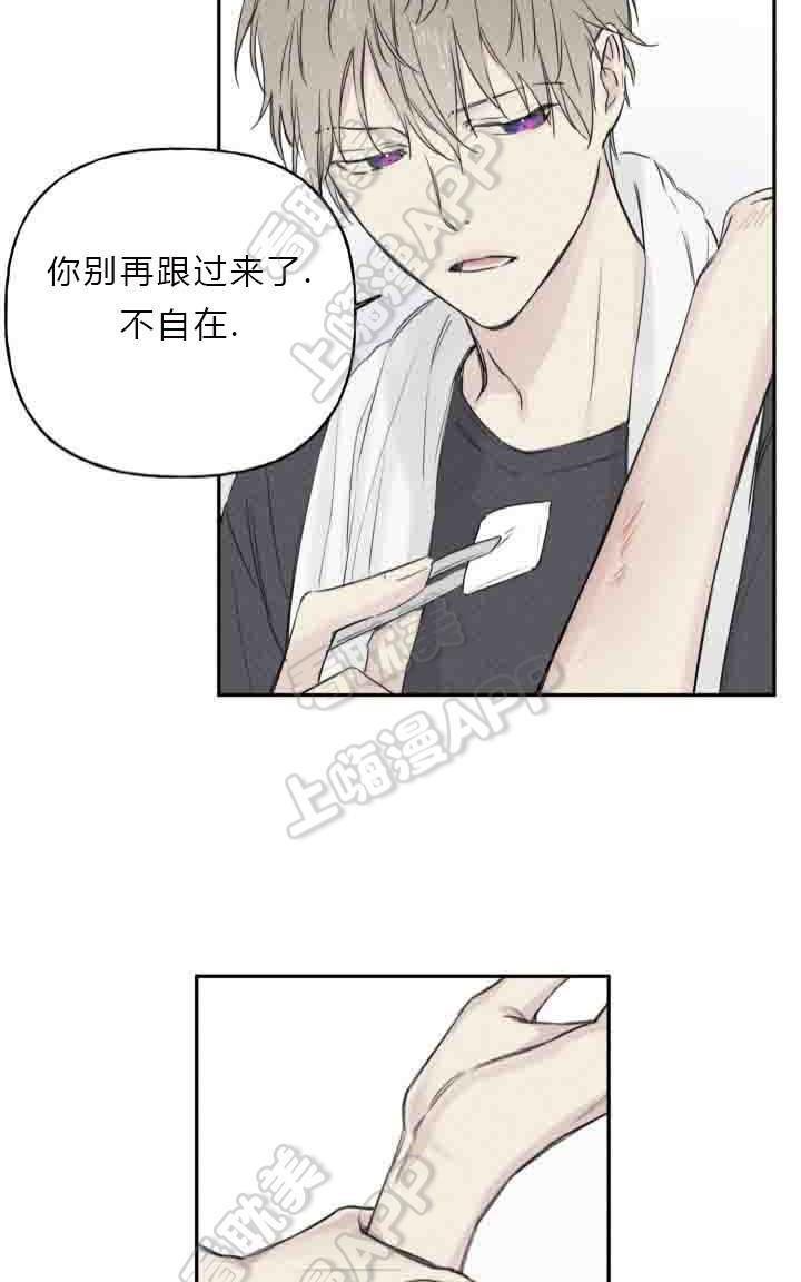 天使密友/天使拍档[耽美]韩漫全集-第4话无删减无遮挡章节图片 