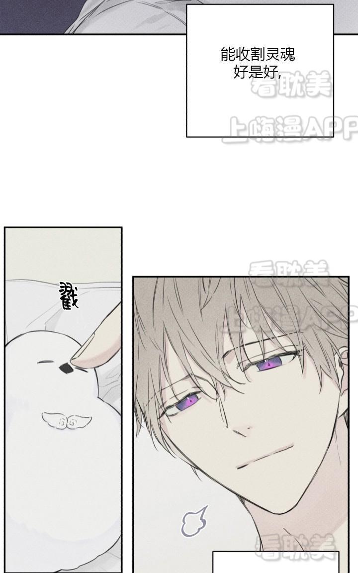 天使密友/天使拍档[耽美]韩漫全集-第5话无删减无遮挡章节图片 