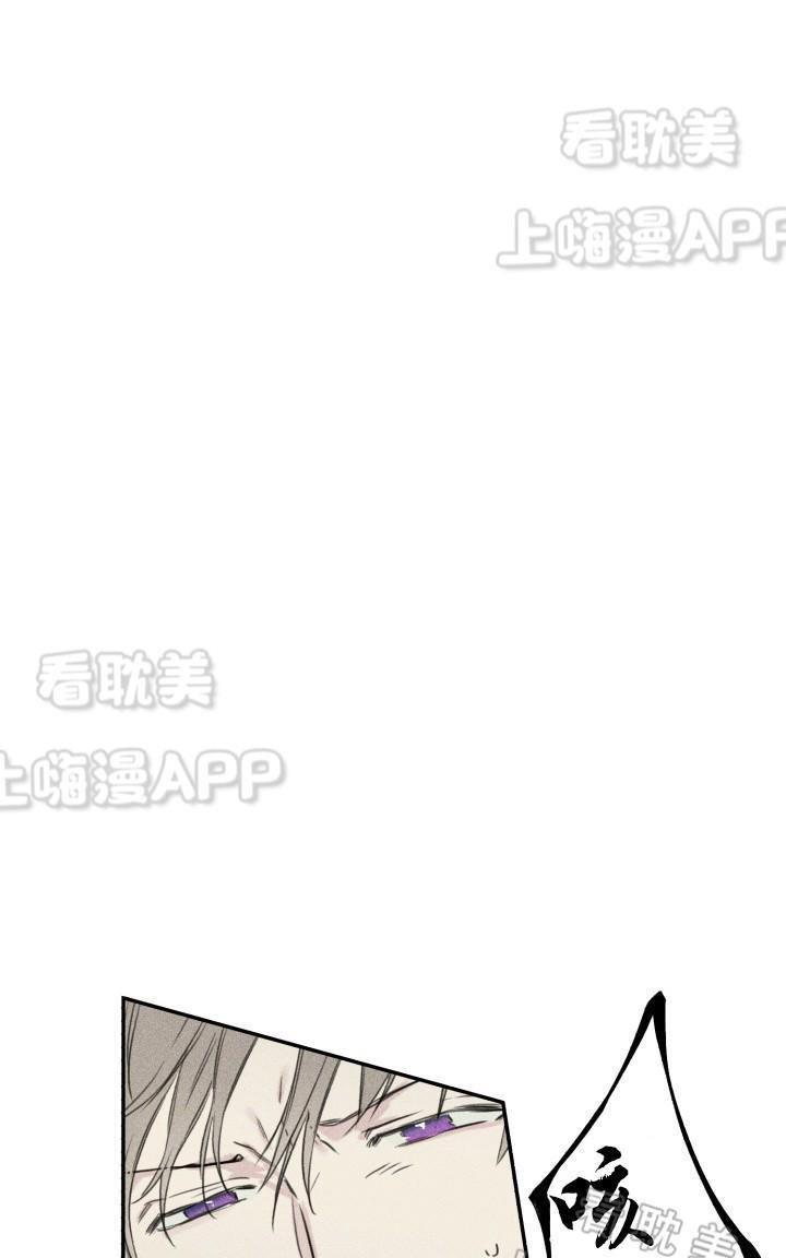 天使密友/天使拍档[耽美]韩漫全集-第5话无删减无遮挡章节图片 