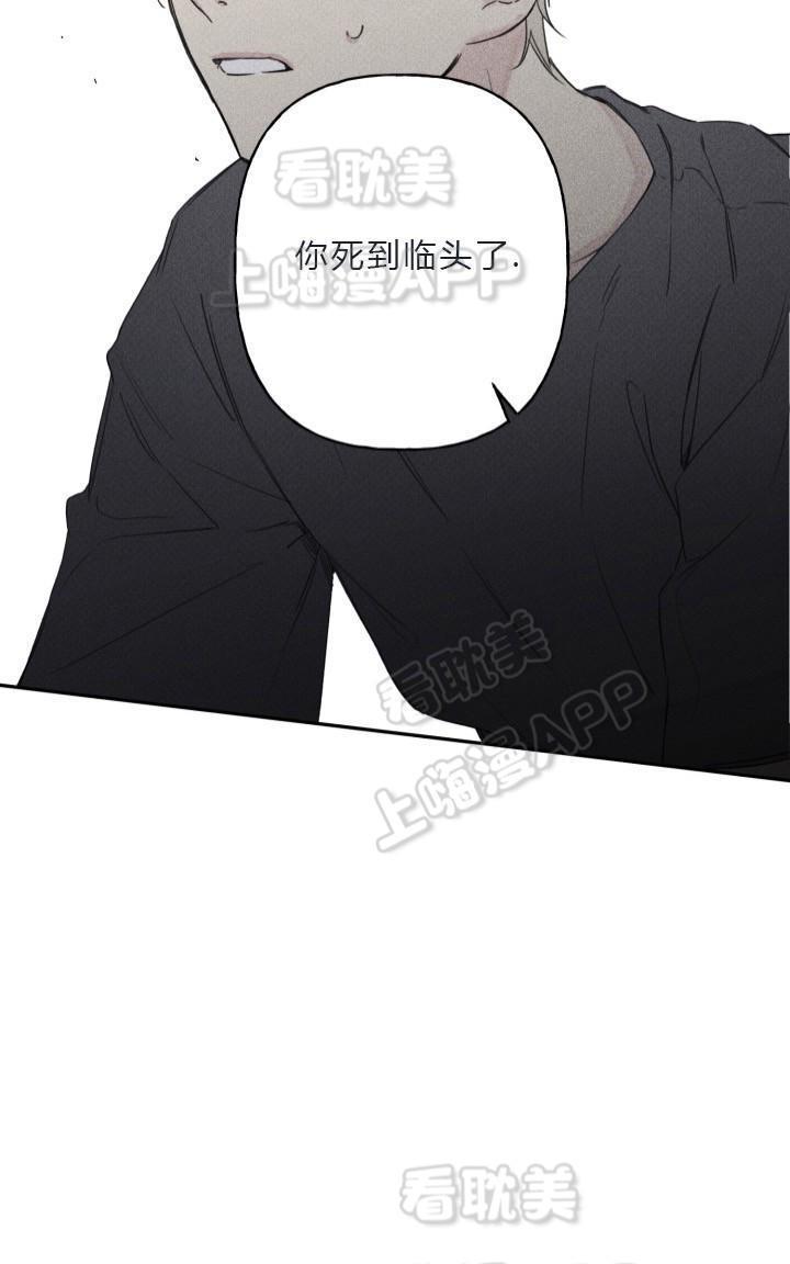 天使密友/天使拍档[耽美]韩漫全集-第5话无删减无遮挡章节图片 