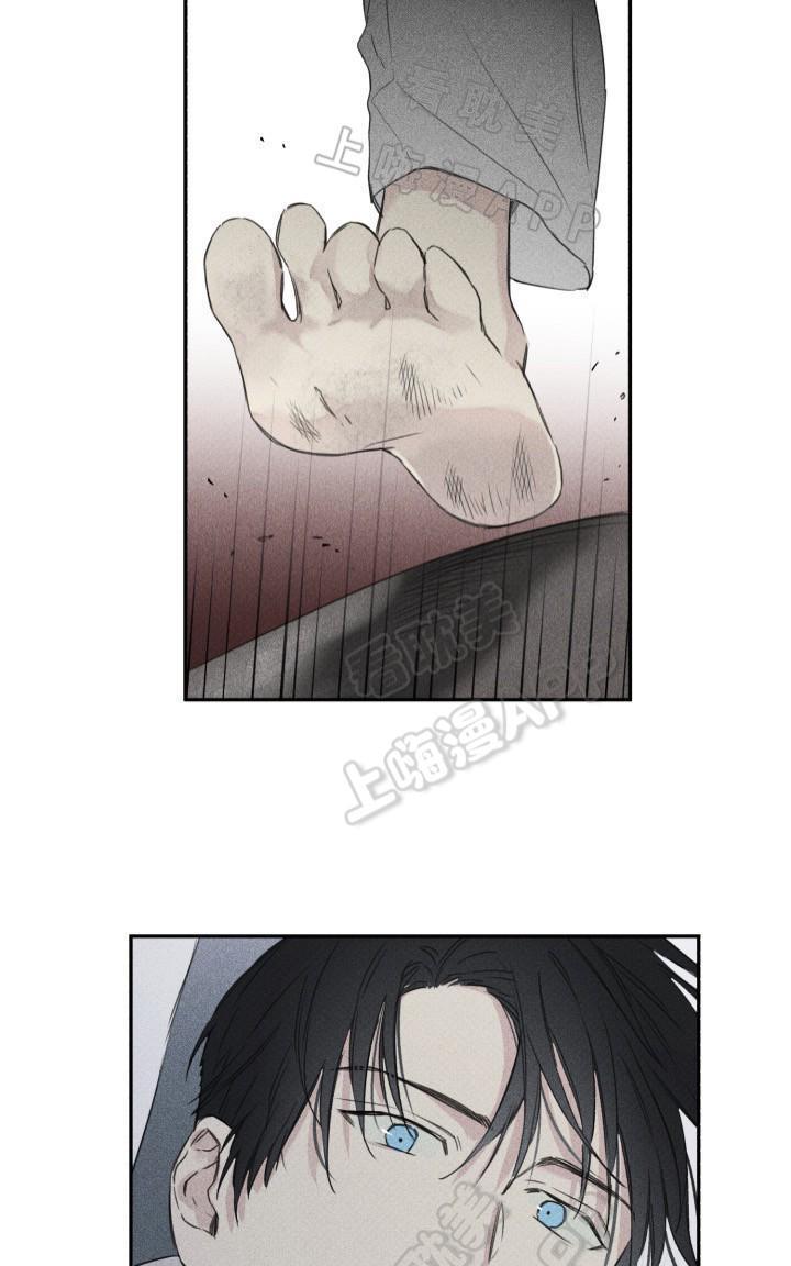 天使密友/天使拍档[耽美]韩漫全集-第5话无删减无遮挡章节图片 