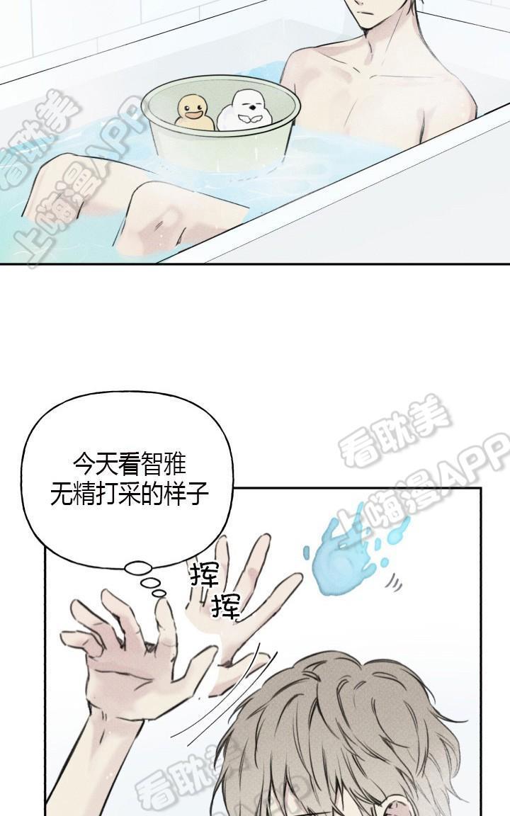 天使密友/天使拍档[耽美]韩漫全集-第9话无删减无遮挡章节图片 