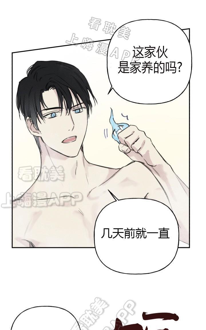 天使密友/天使拍档[耽美]韩漫全集-第9话无删减无遮挡章节图片 