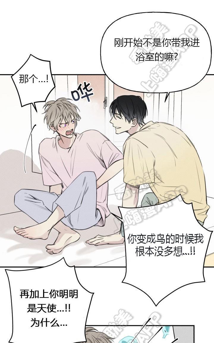 天使密友/天使拍档[耽美]韩漫全集-第9话无删减无遮挡章节图片 