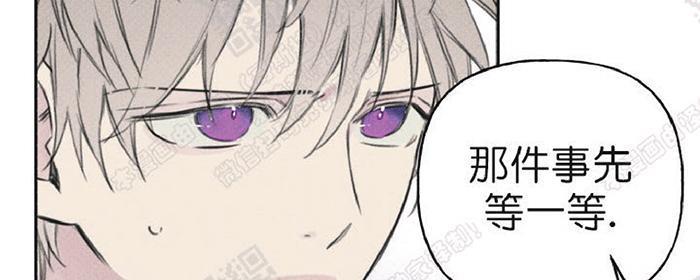 天使密友/天使拍档[耽美]韩漫全集-第11话无删减无遮挡章节图片 