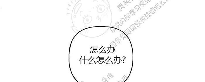 天使密友/天使拍档[耽美]韩漫全集-第16话无删减无遮挡章节图片 