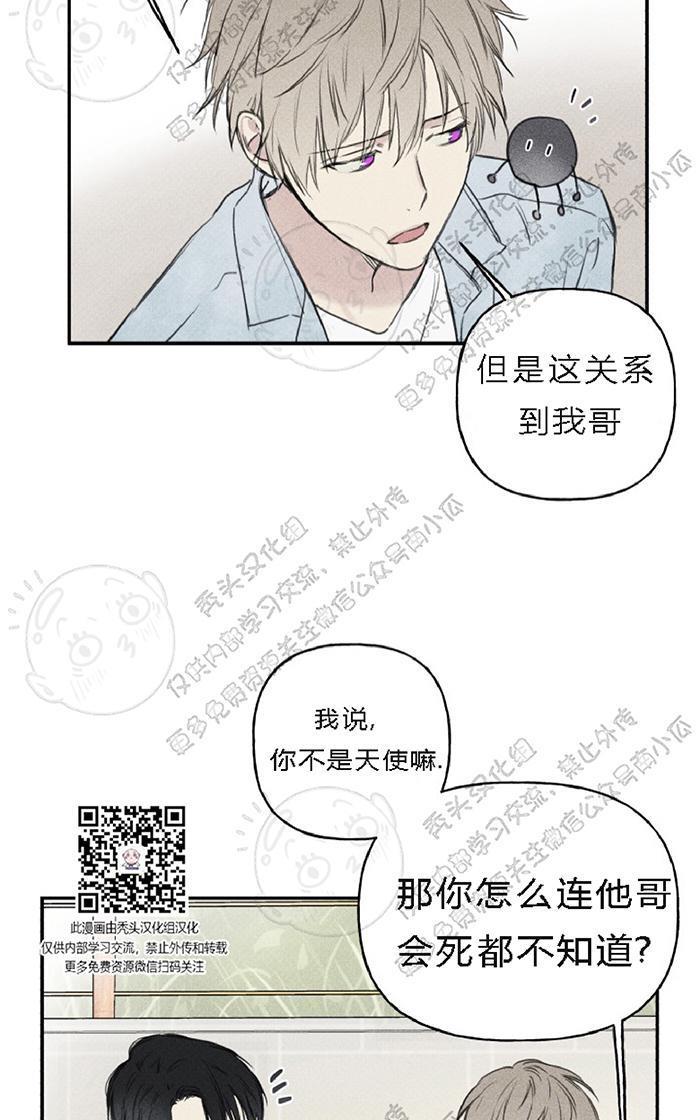 天使密友/天使拍档[耽美]韩漫全集-第20话无删减无遮挡章节图片 