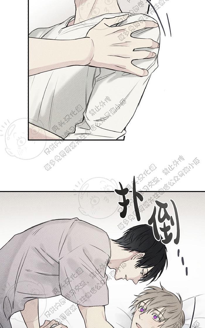 天使密友/天使拍档[耽美]韩漫全集-第21话无删减无遮挡章节图片 