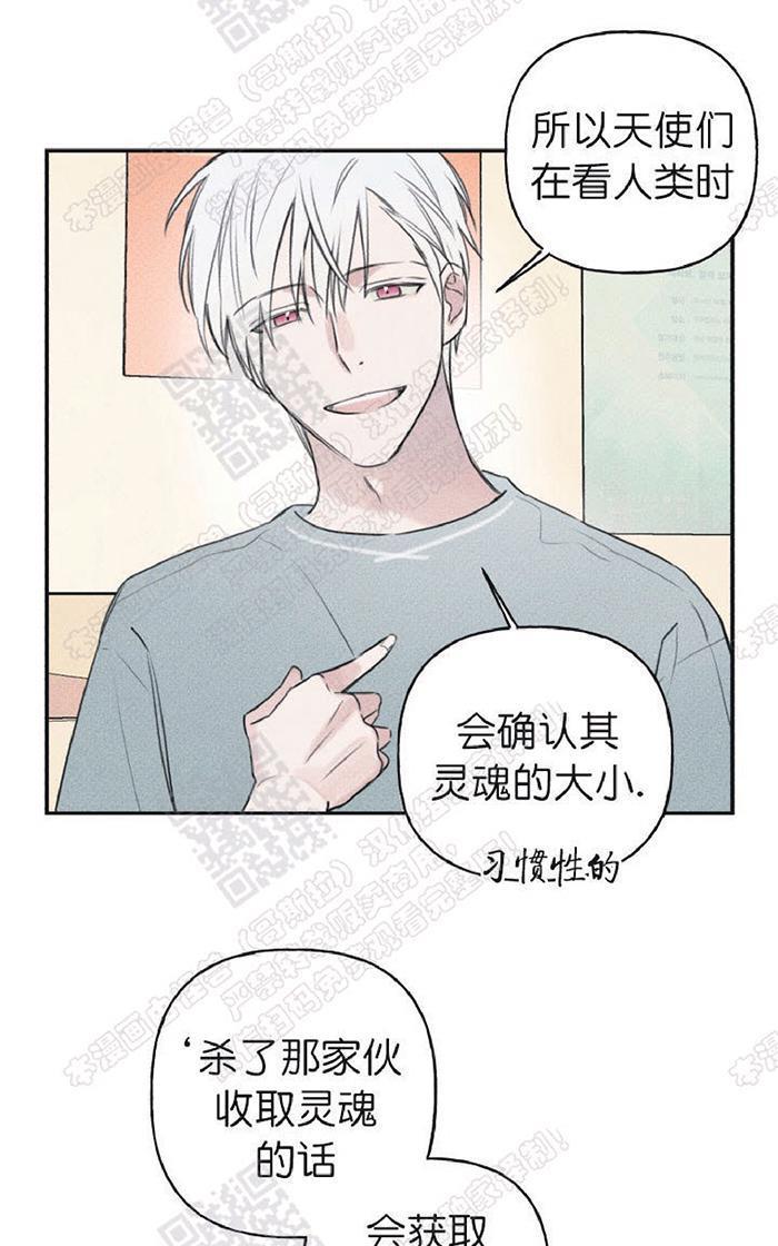 天使密友/天使拍档[耽美]韩漫全集-第26话无删减无遮挡章节图片 