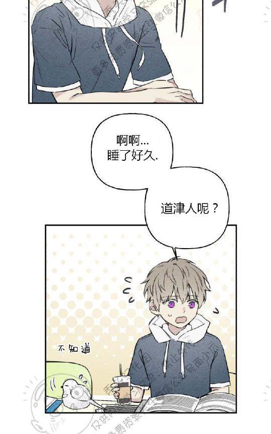 天使密友/天使拍档[耽美]韩漫全集-第27话无删减无遮挡章节图片 