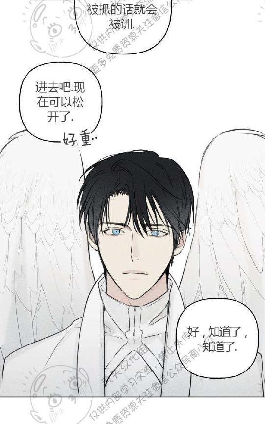 天使密友/天使拍档[耽美]韩漫全集-第27话无删减无遮挡章节图片 