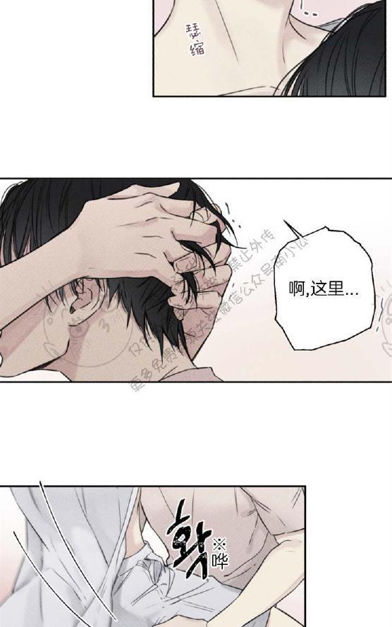 天使密友/天使拍档[耽美]韩漫全集-第28话无删减无遮挡章节图片 