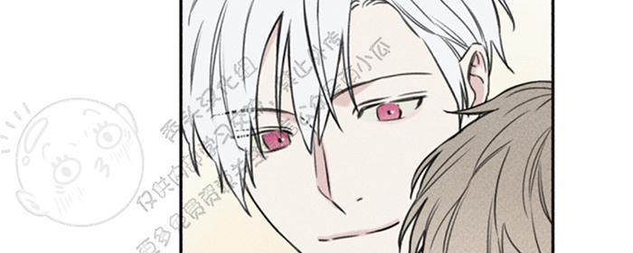 天使密友/天使拍档[耽美]韩漫全集-第29话无删减无遮挡章节图片 