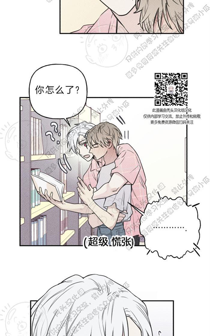 天使密友/天使拍档[耽美]韩漫全集-第29话无删减无遮挡章节图片 