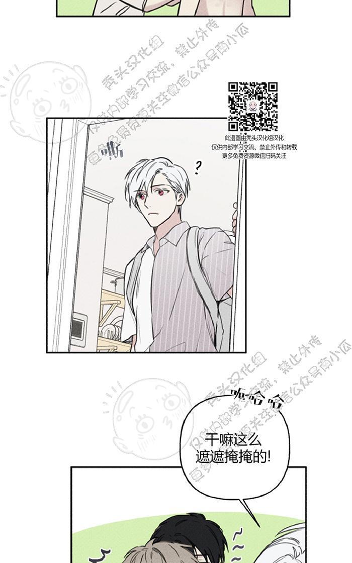 天使密友/天使拍档[耽美]韩漫全集-第31话无删减无遮挡章节图片 