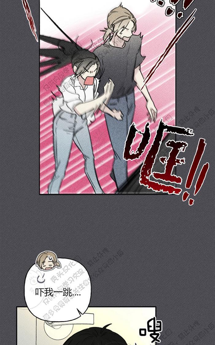 天使密友/天使拍档[耽美]韩漫全集-第33话无删减无遮挡章节图片 