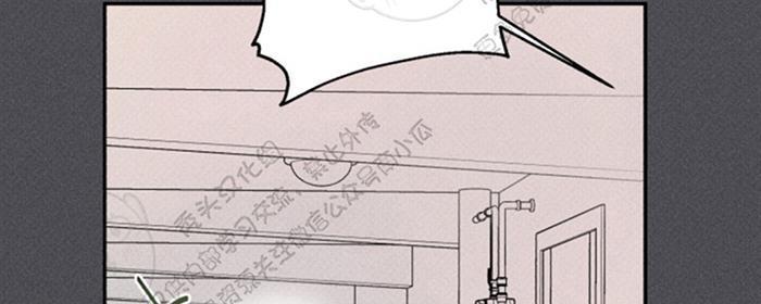 天使密友/天使拍档[耽美]韩漫全集-第33话无删减无遮挡章节图片 