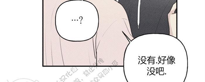 天使密友/天使拍档[耽美]韩漫全集-第33话无删减无遮挡章节图片 