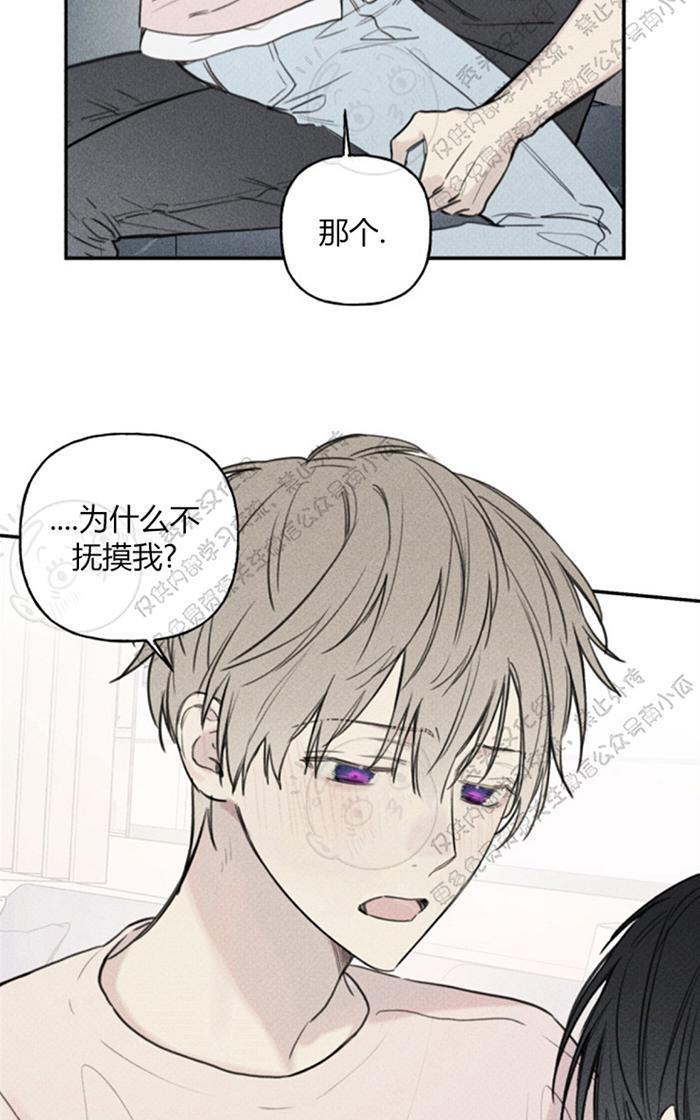 天使密友/天使拍档[耽美]韩漫全集-第33话无删减无遮挡章节图片 