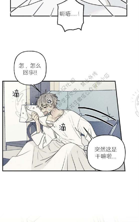 天使密友/天使拍档[耽美]韩漫全集-第35话无删减无遮挡章节图片 