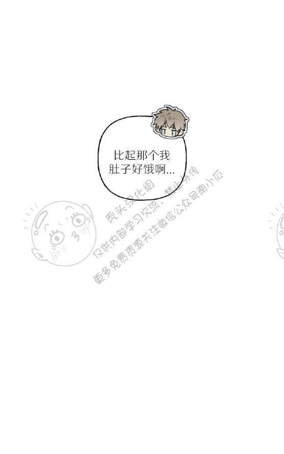 天使密友/天使拍档[耽美]韩漫全集-第35话无删减无遮挡章节图片 