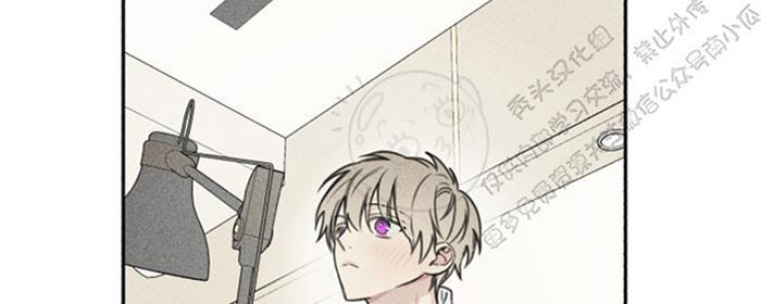 天使密友/天使拍档[耽美]韩漫全集-第36话无删减无遮挡章节图片 