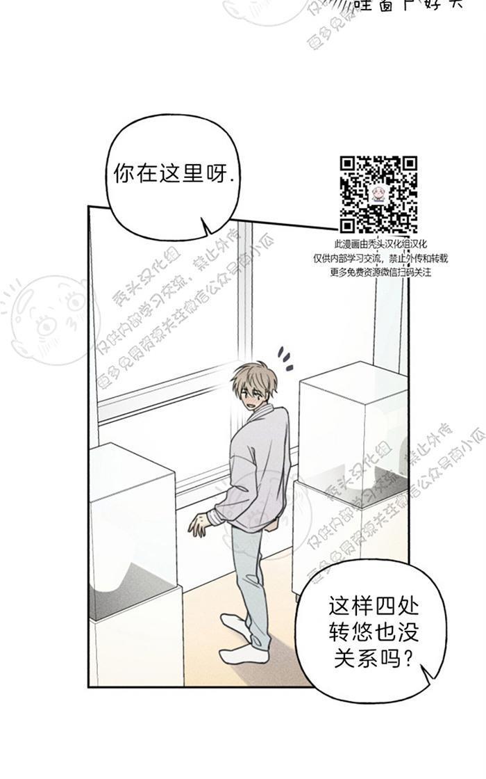 天使密友/天使拍档[耽美]韩漫全集-第36话无删减无遮挡章节图片 