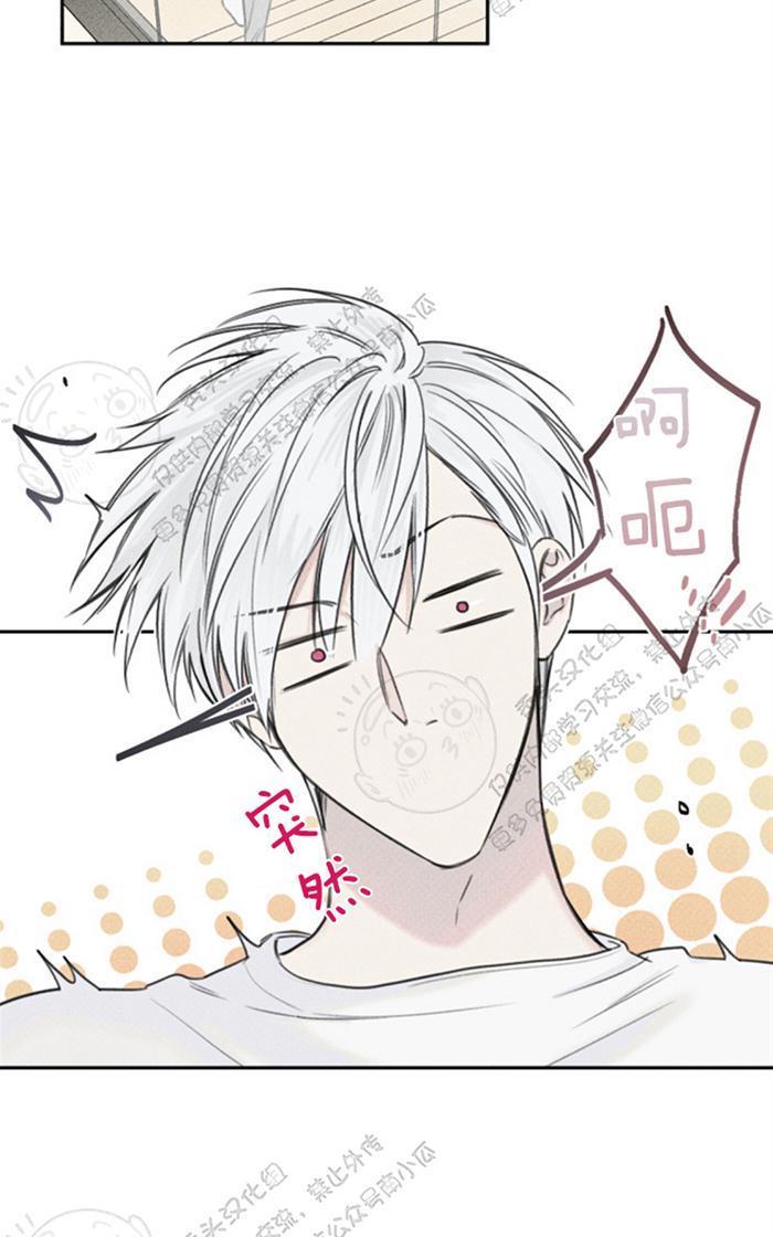 天使密友/天使拍档[耽美]韩漫全集-第36话无删减无遮挡章节图片 