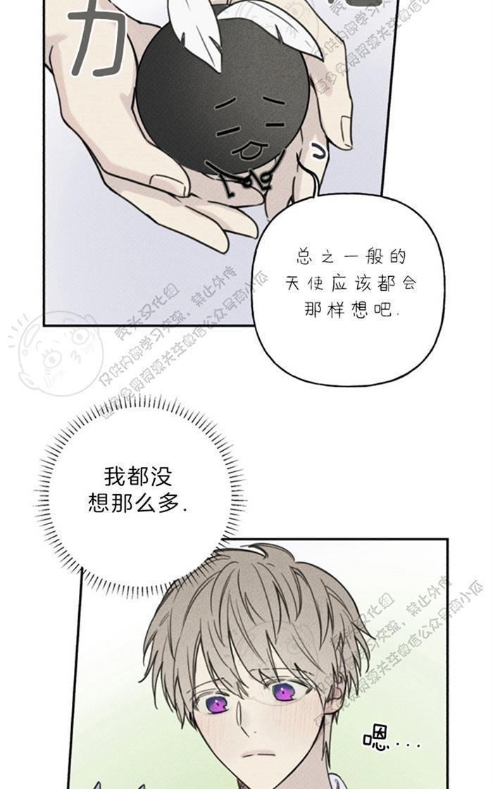 天使密友/天使拍档[耽美]韩漫全集-第37话无删减无遮挡章节图片 