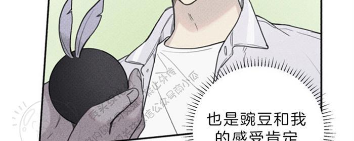 天使密友/天使拍档[耽美]韩漫全集-第37话无删减无遮挡章节图片 