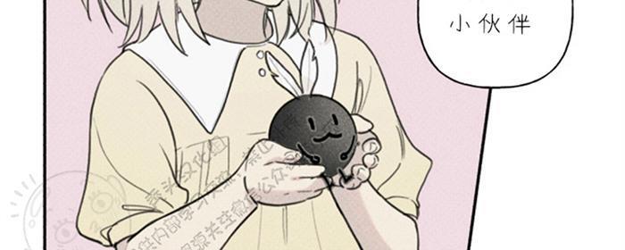 天使密友/天使拍档[耽美]韩漫全集-第37话无删减无遮挡章节图片 