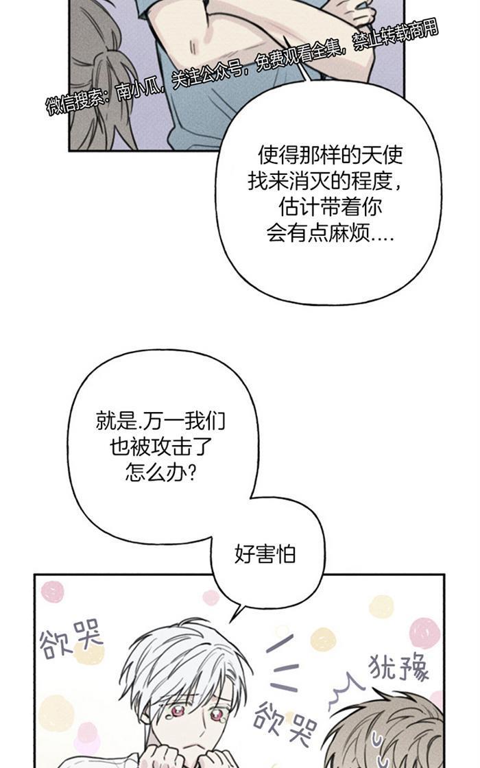 天使密友/天使拍档[耽美]韩漫全集-第38话无删减无遮挡章节图片 