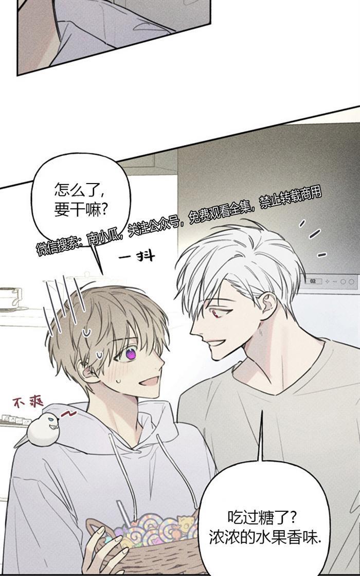 天使密友/天使拍档[耽美]韩漫全集-第40话无删减无遮挡章节图片 