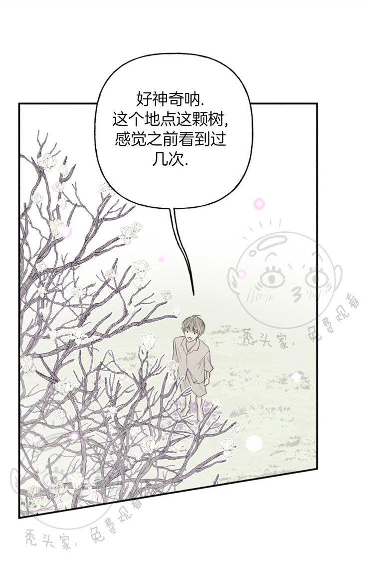 天使密友/天使拍档[耽美]韩漫全集-第42话无删减无遮挡章节图片 